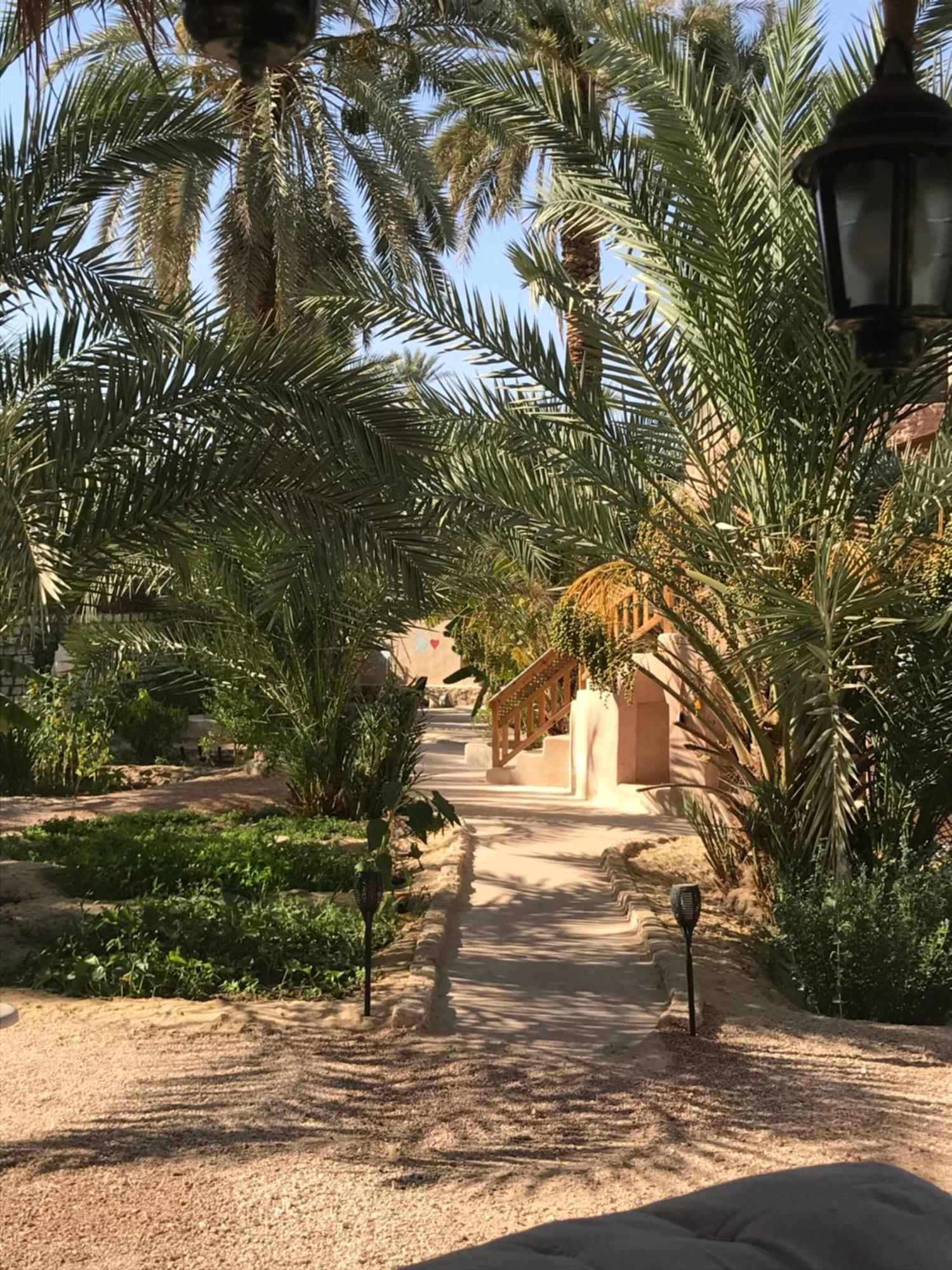 شقة Siwa Spot Siwa Oasis المظهر الخارجي الصورة
