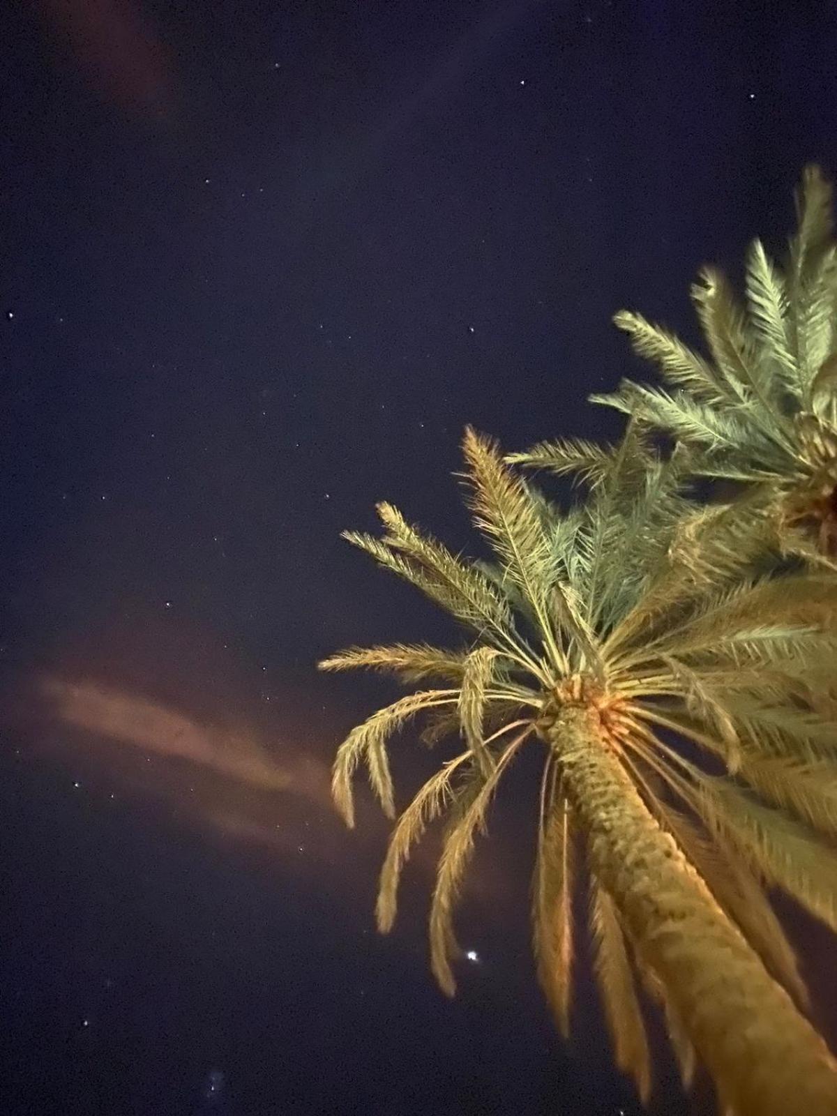 شقة Siwa Spot Siwa Oasis المظهر الخارجي الصورة